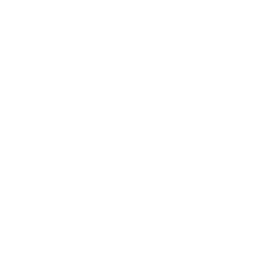 Interactive Exploration